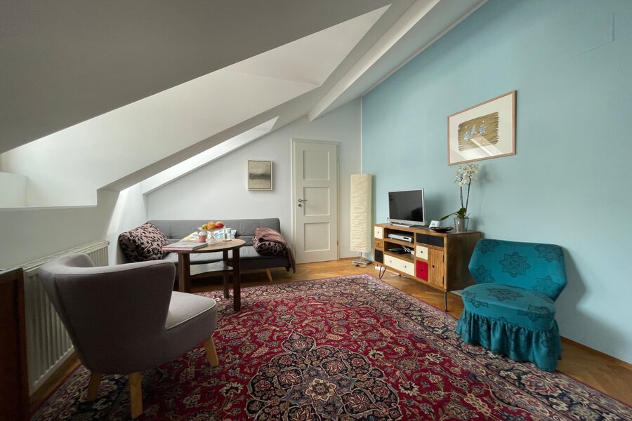 Über den Dächern von Wien