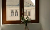 view from one of the windows