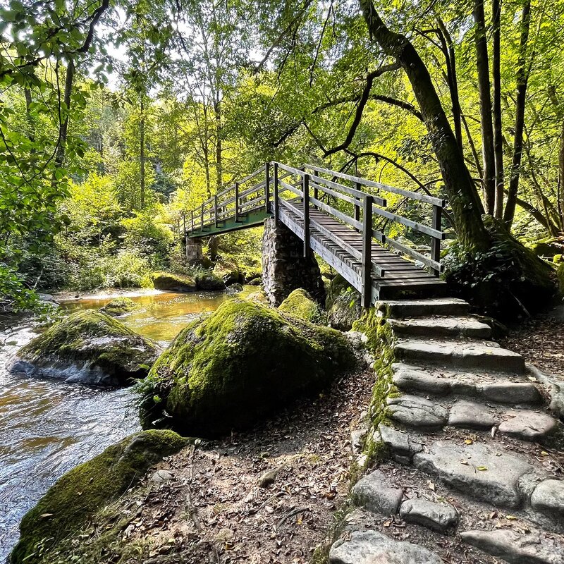 hiking opportunities nearby