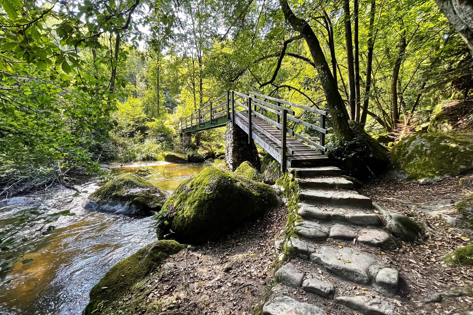Wandermöglichkeiten in der Nähe