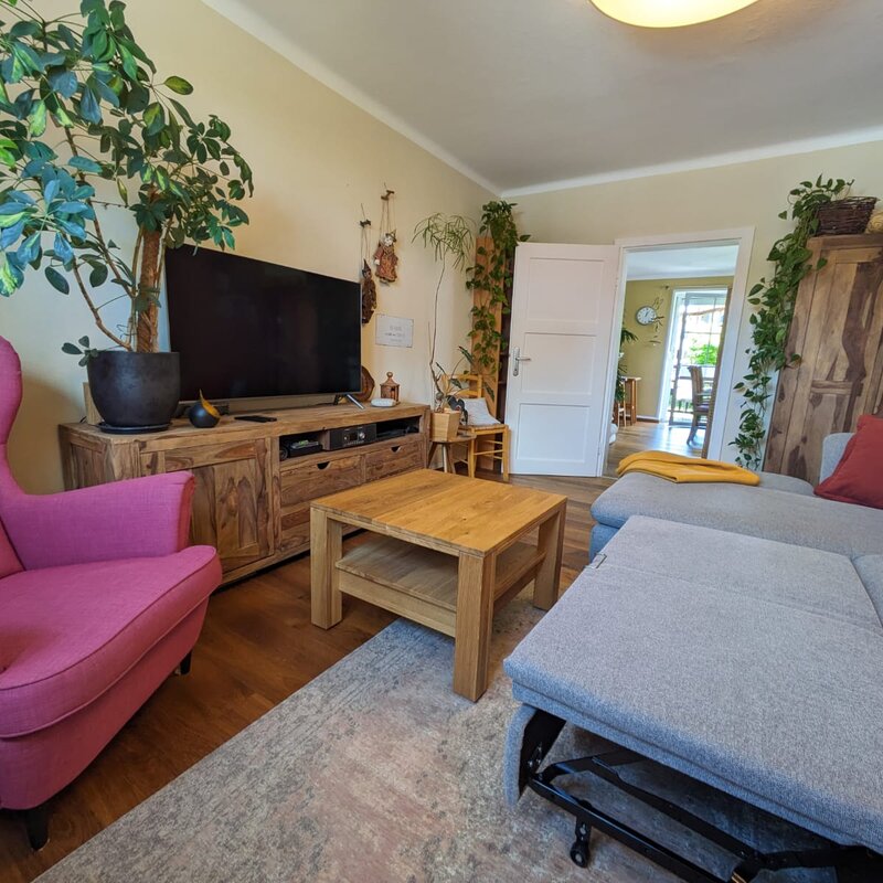 living room with sleeping couch