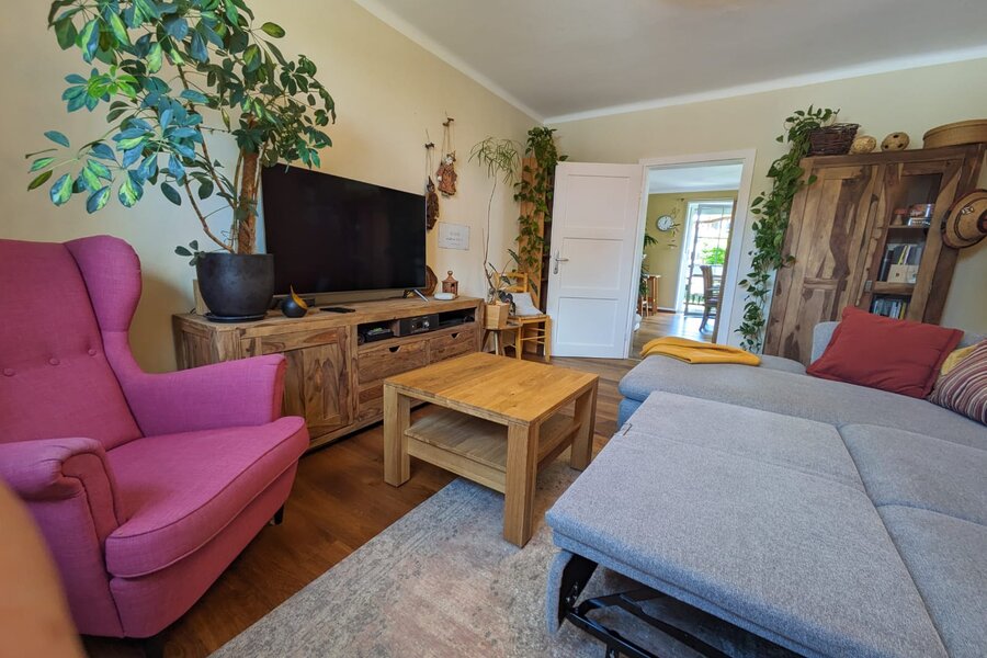 living room with sleeping couch