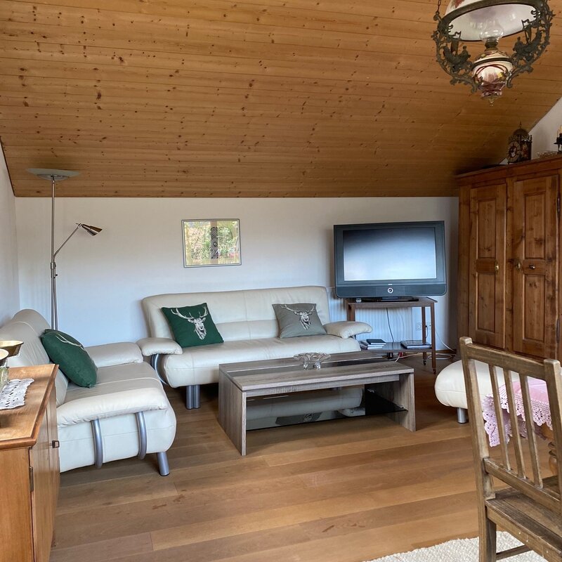 Wohnbereich Couch und TV