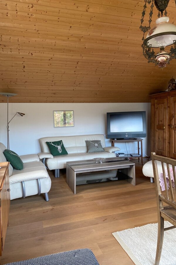 Wohnbereich Couch und TV