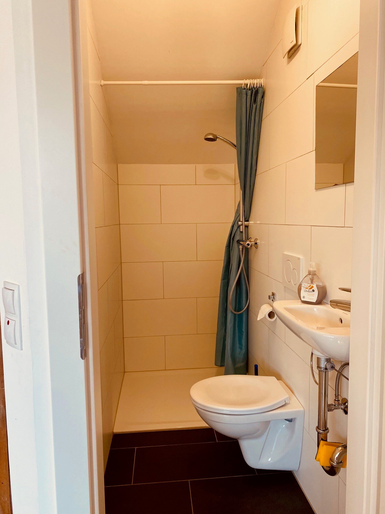 kleine Bad mit WC und Dusche