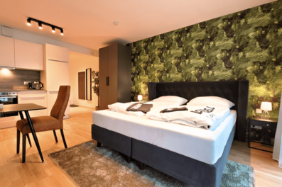 Furnished 1-room apartment with boxspring bed & kitchenette – short-term rental & temporary housing for 1 to 6 months in Graz
