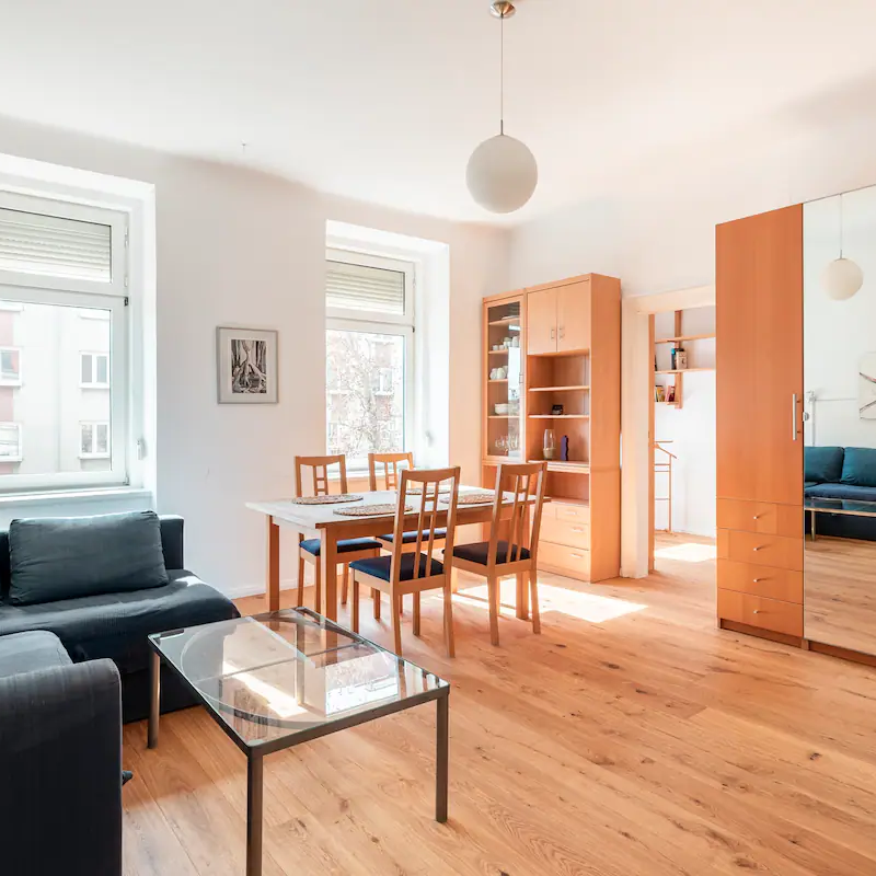 Sofa bed on the left, large closet on the right