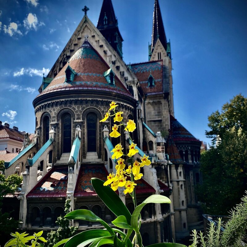... seen from the floor in front of the apartment door