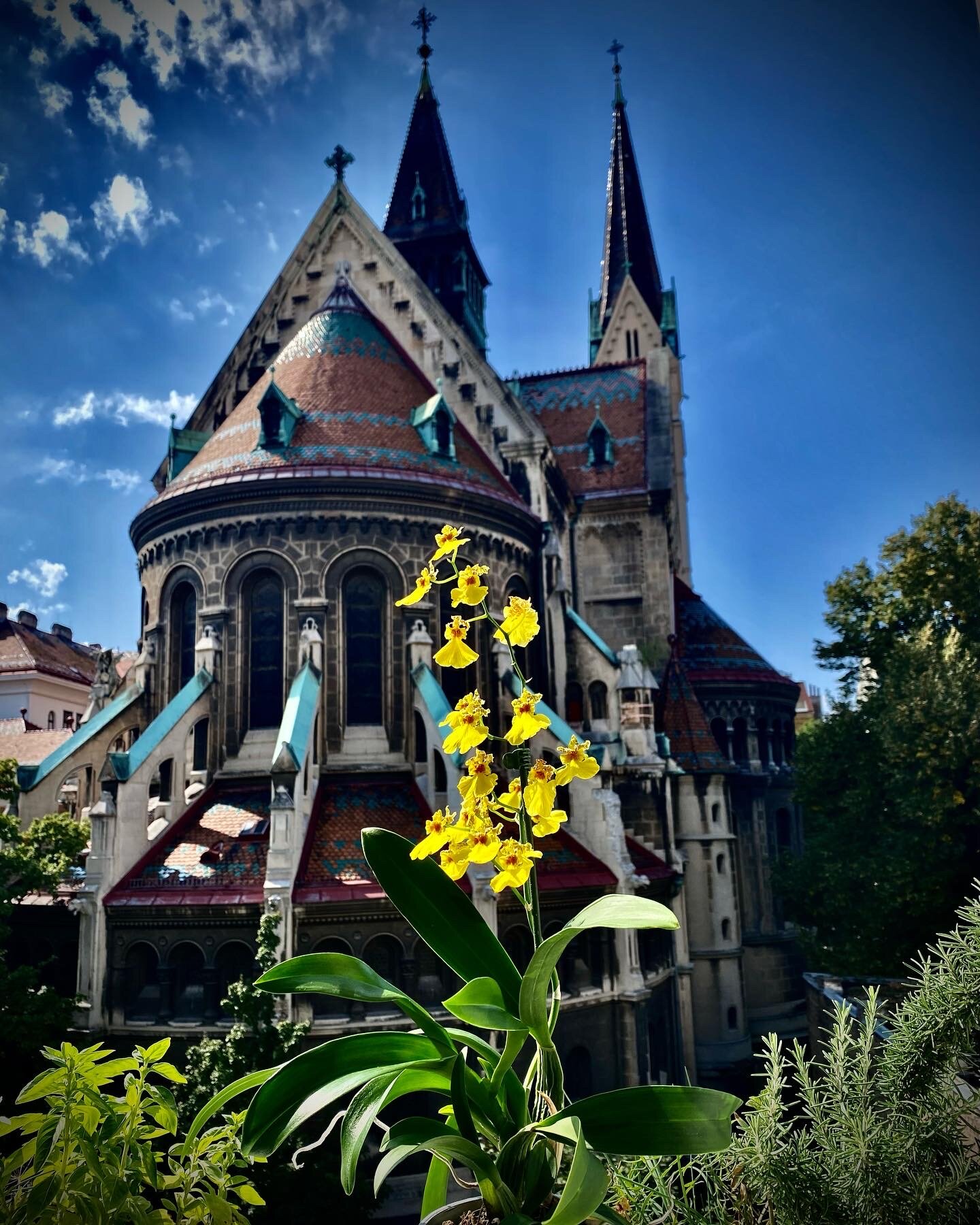 ... seen from the floor in front of the apartment door