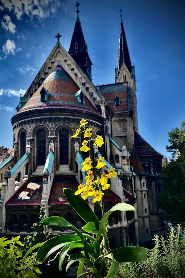 ... seen from the floor in front of the apartment door