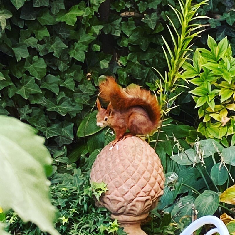 ... visit our garden