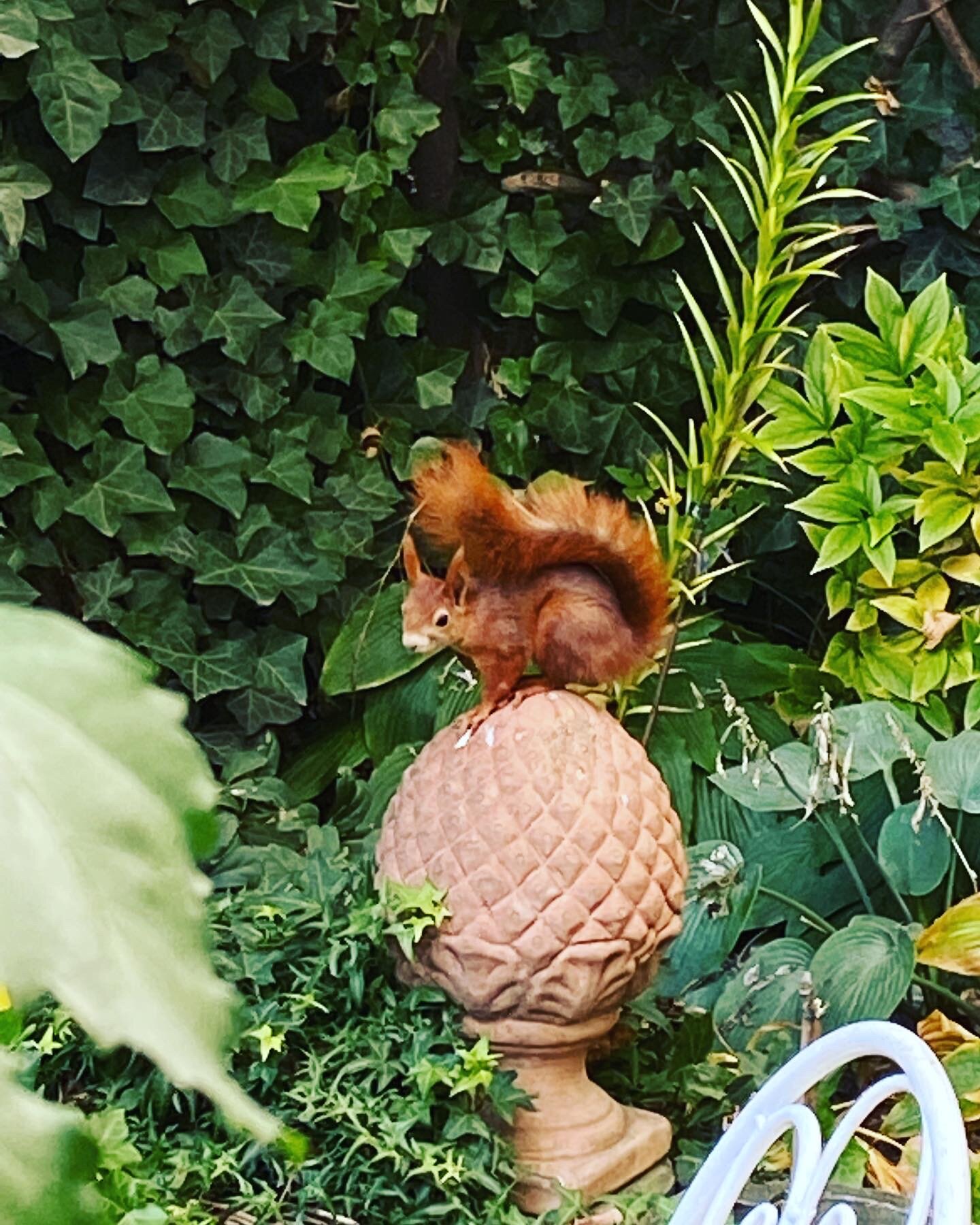 ... visit our garden