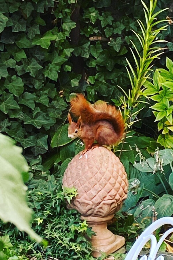 ... visit our garden