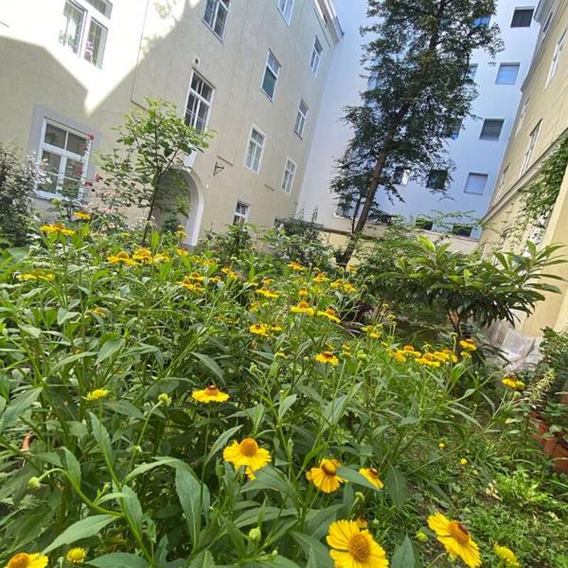 2nd Courtyard