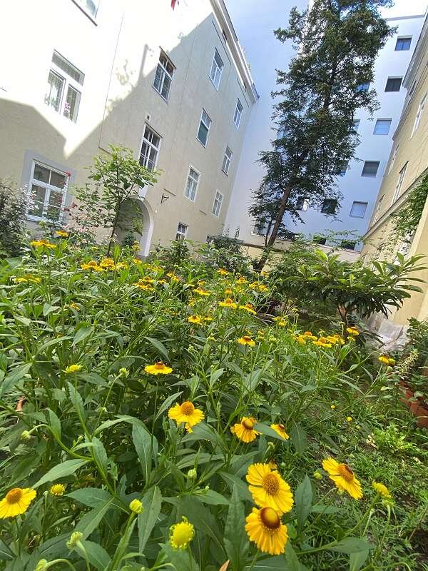 2nd Courtyard