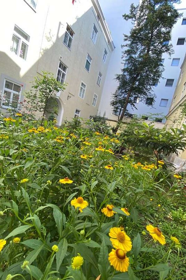 2nd Courtyard