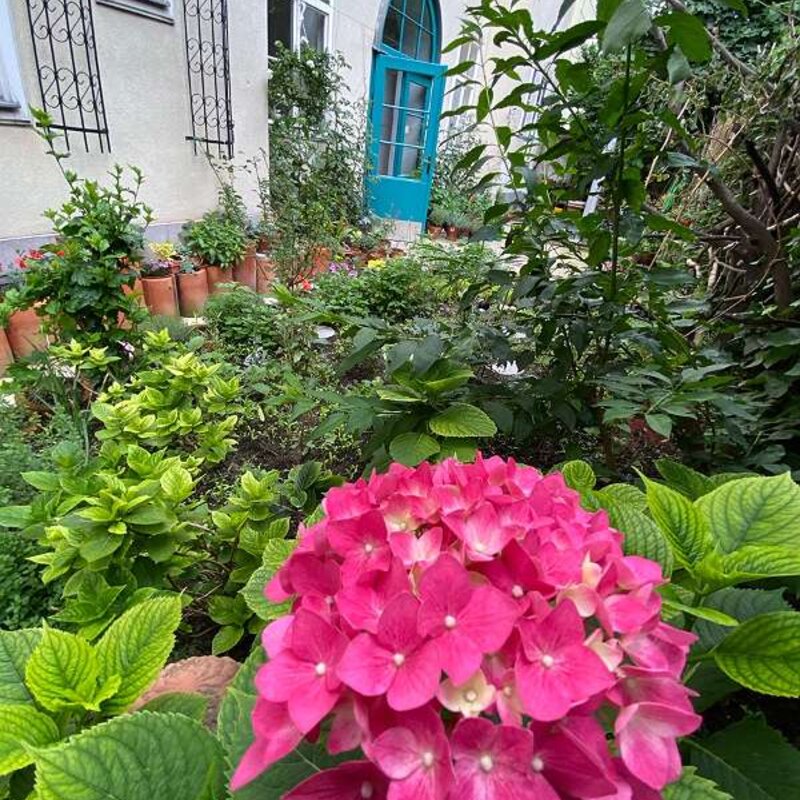 3rd Courtyard