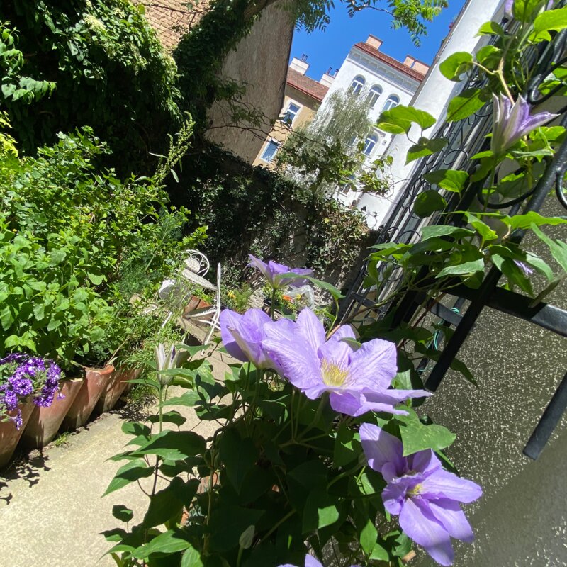 3rd Courtyard