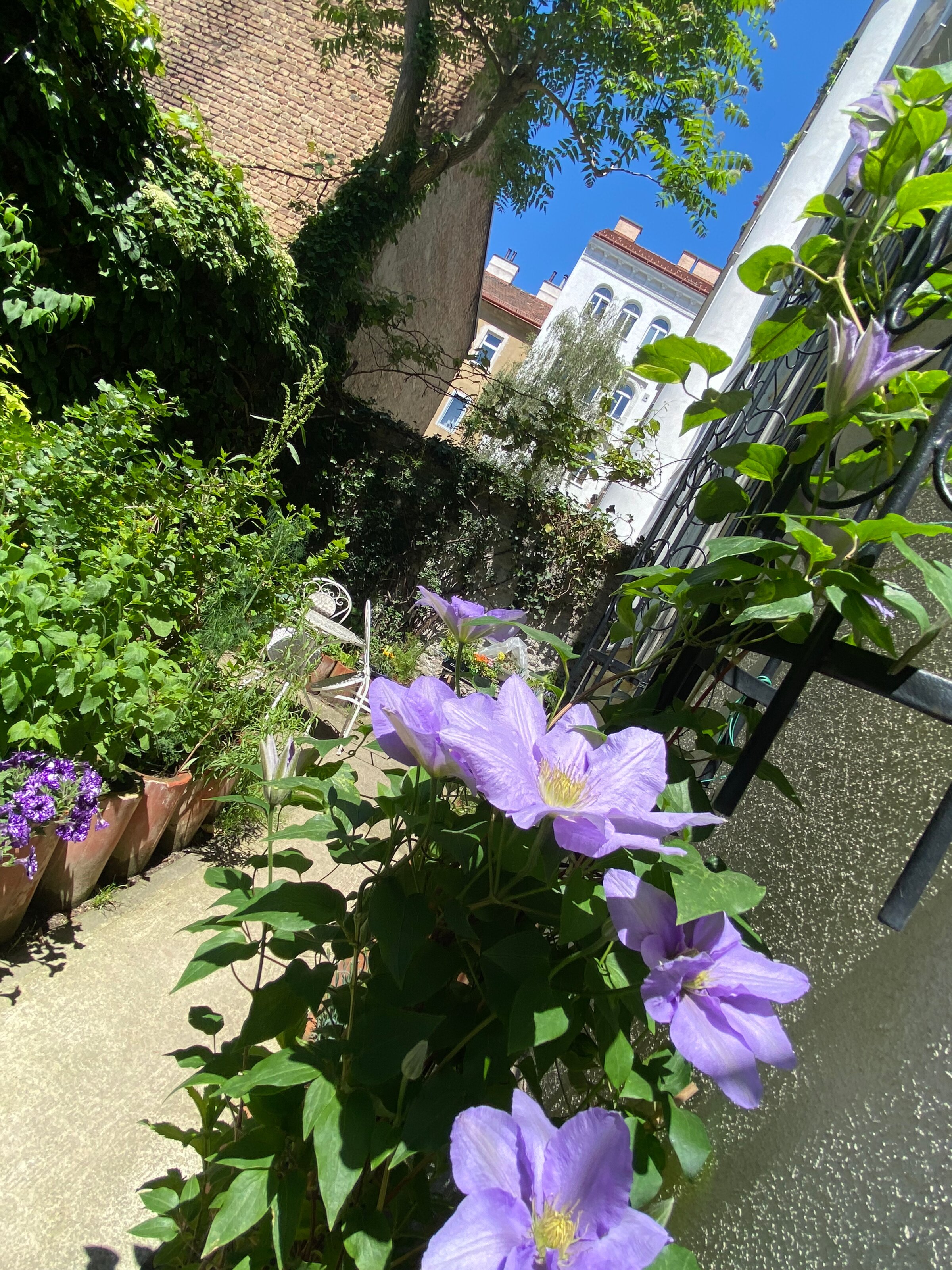 3rd Courtyard