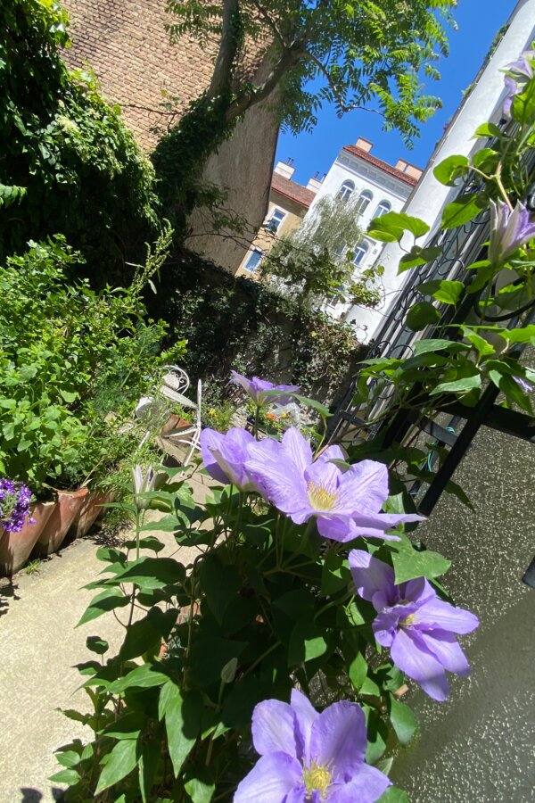 3rd Courtyard