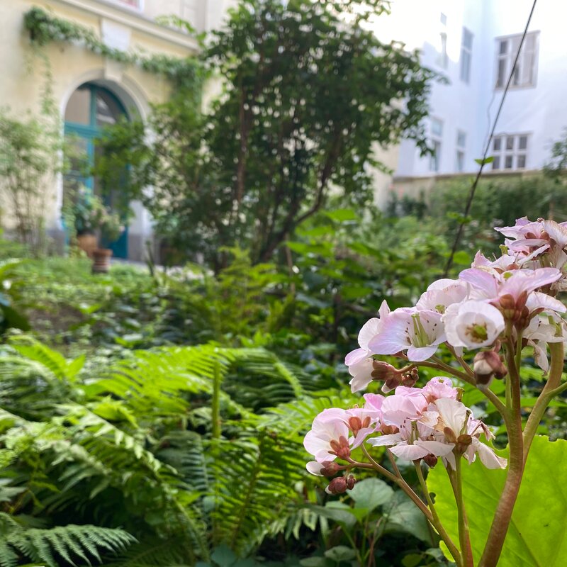 2nd Courtyard