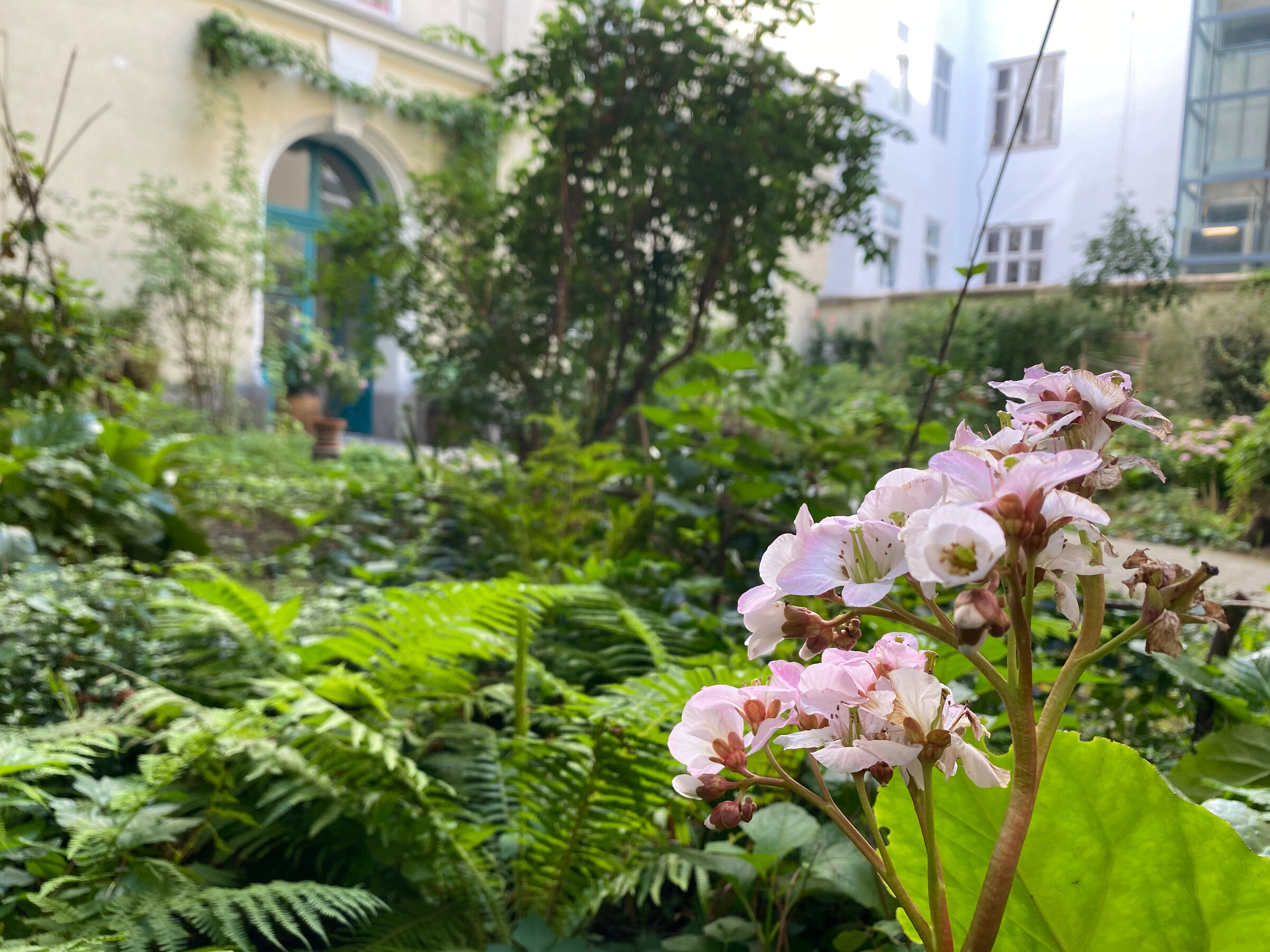 2nd Courtyard