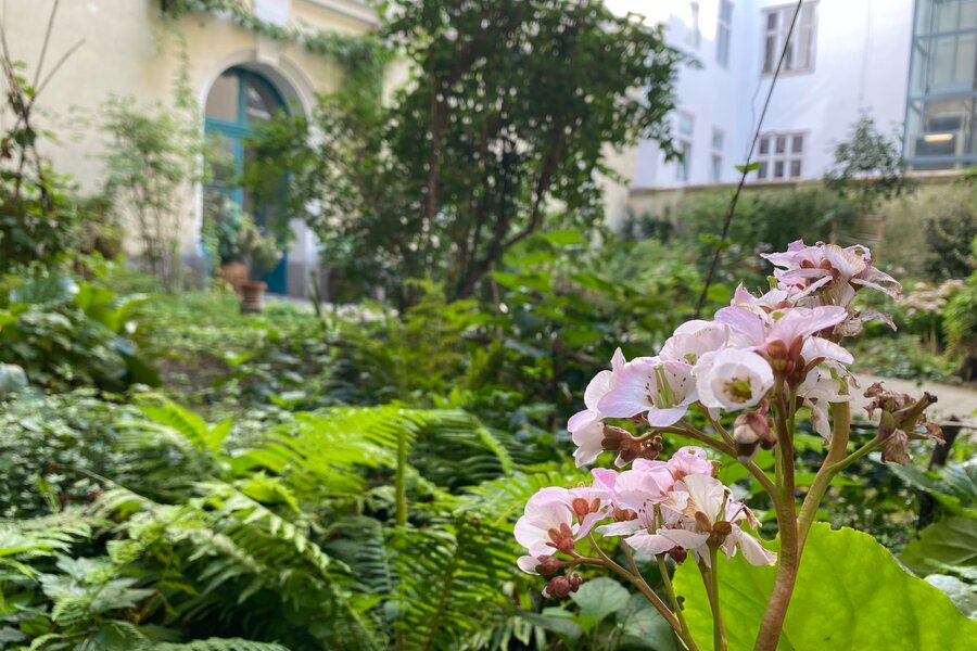2nd Courtyard