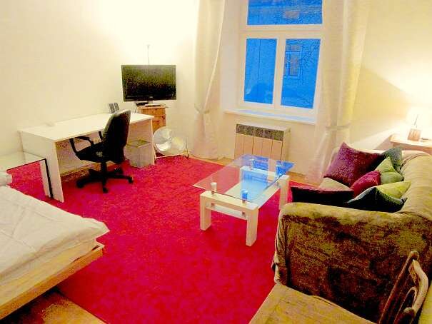 Living/Bedroom