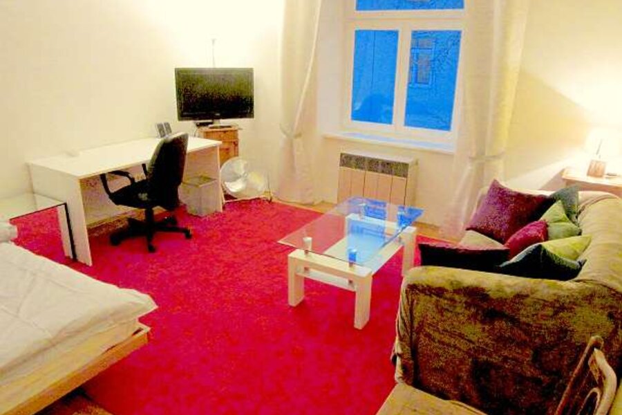 Living/Bedroom