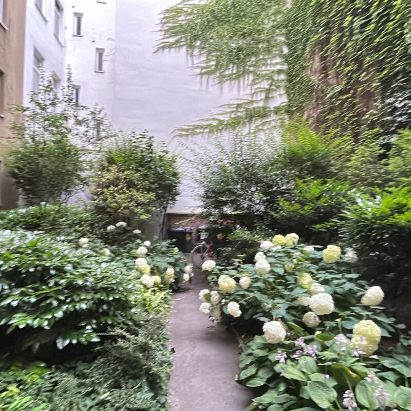 Blick vom Schlafzimmer und von der Küche