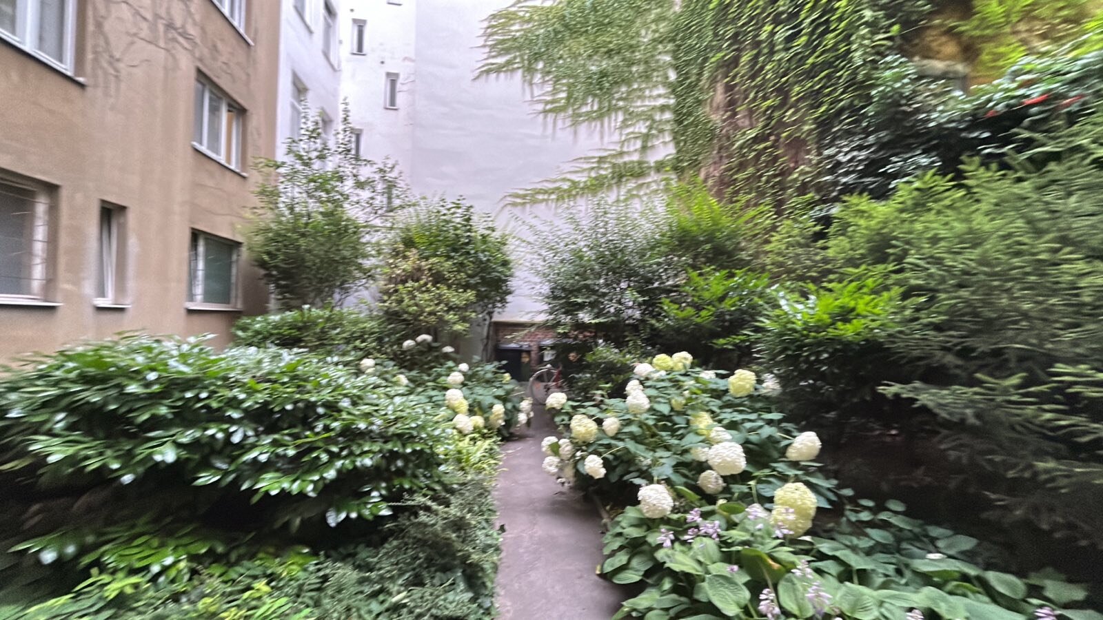 Blick vom Schlafzimmer und von der Küche