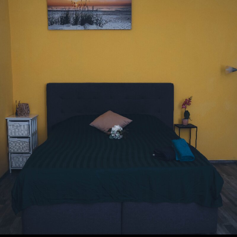 The room is excellent with kitchen and opening sofa