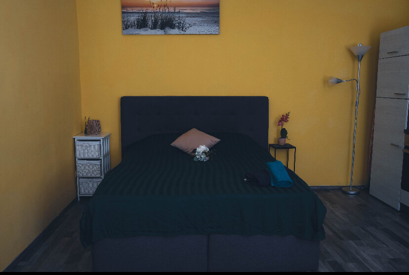 The room is excellent with kitchen and opening sofa