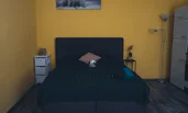 The room is excellent with kitchen and opening sofa