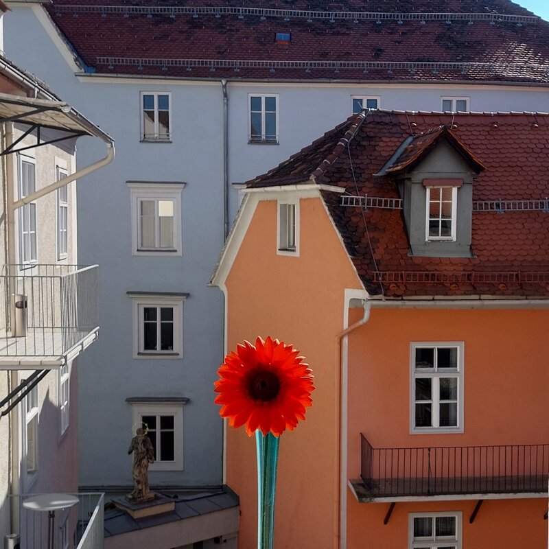 View from the bedroom