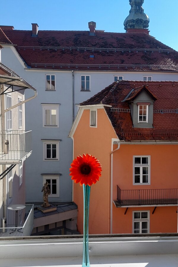 View from the bedroom