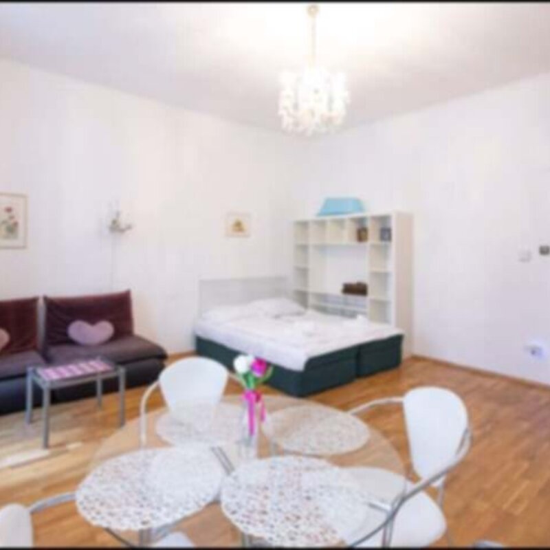 Living -and bedroom