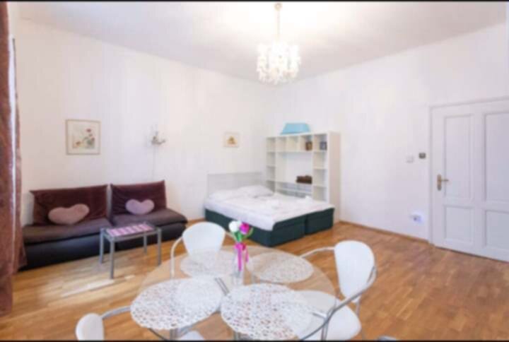 Living -and bedroom