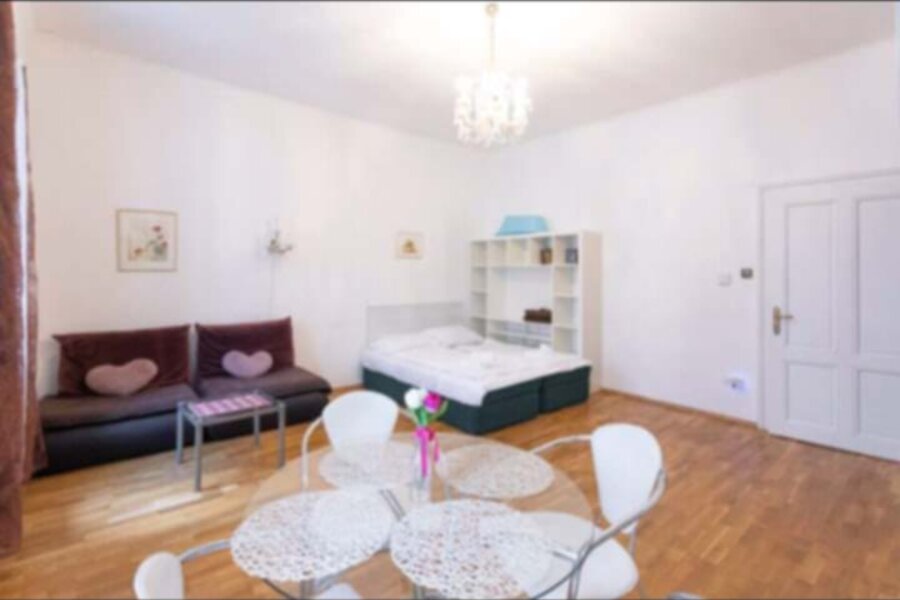 Living -and bedroom