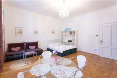 Living -and bedroom