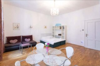 Living -and bedroom