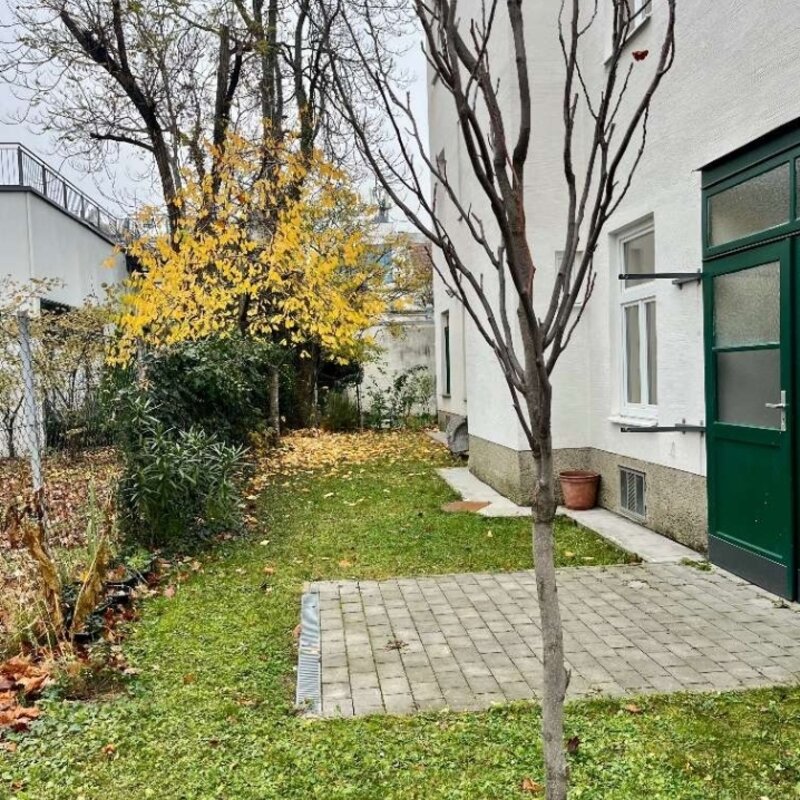 Backyard garden