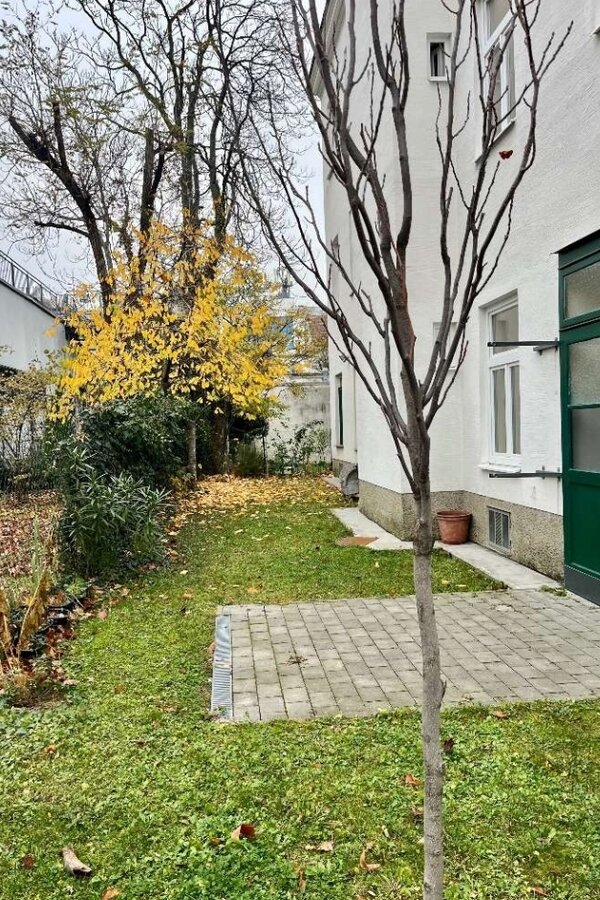  Backyard,super safe for small choldren as no acces to the street