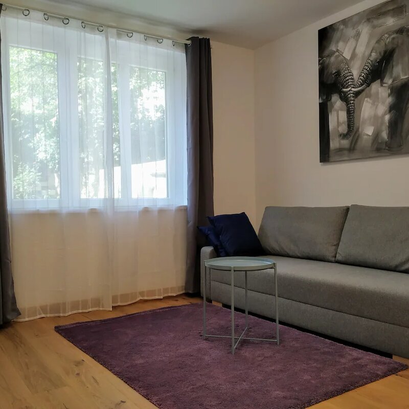 Living room with a pull-out sofa bed