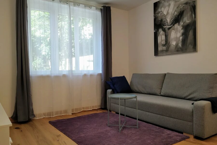 Living room with a pull-out sofa bed