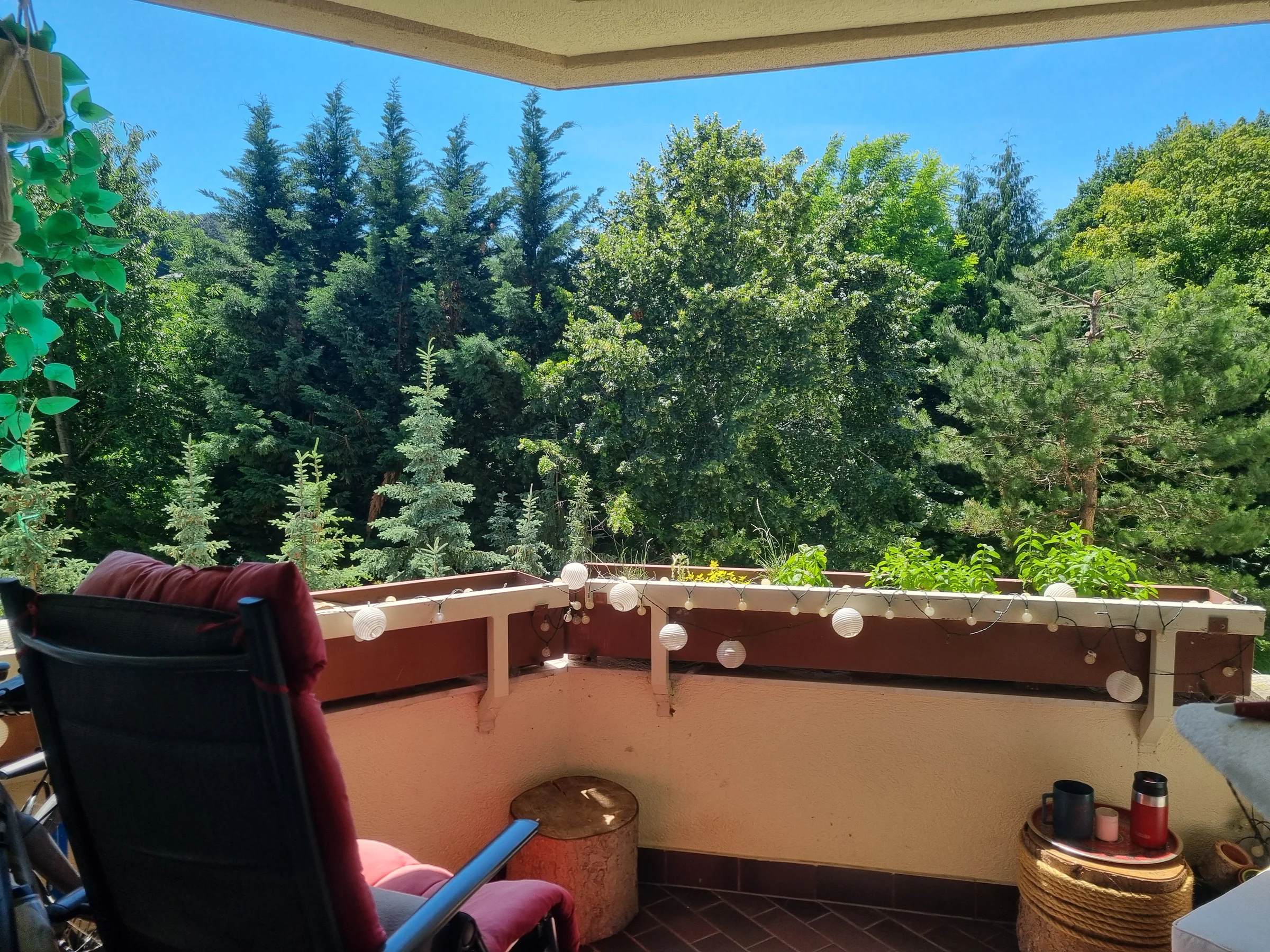 Nahe zu Wien mit Blick ins Grüne