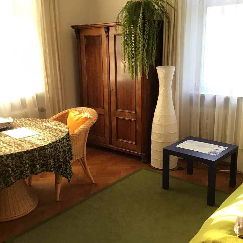 ground floor, sunny in the afternoon, garden view, near city center