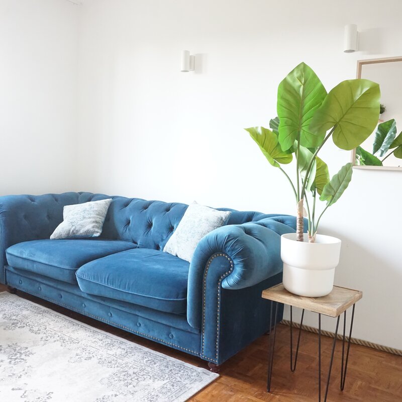 Helles Wohnzimmer mit blauem Samtsofa & Grünpflanze – 2-Zimmer-Wohnung, Kurzzeitmiete Wien, 1–6 Monate