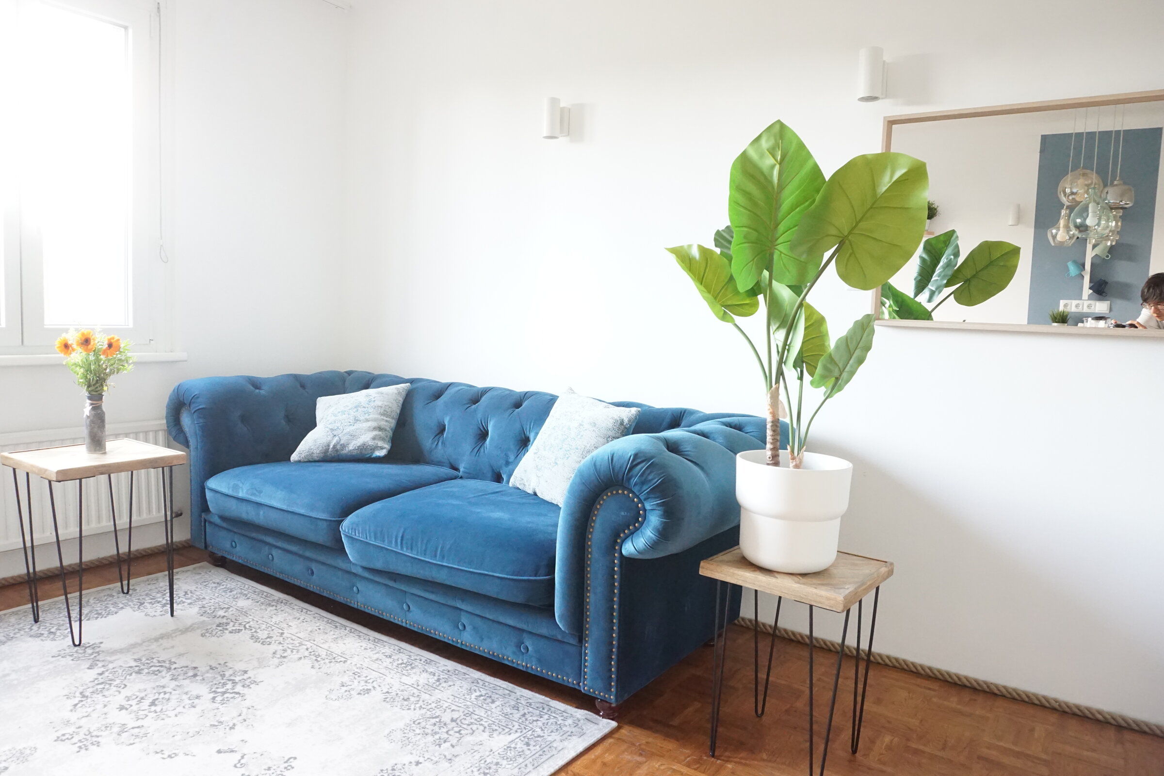Helles Wohnzimmer mit blauem Samtsofa & Grünpflanze – 2-Zimmer-Wohnung, Kurzzeitmiete Wien, 1–6 Monate