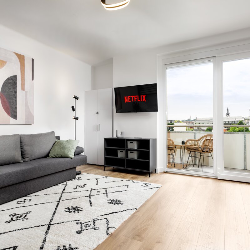 Modern and comfortable pull-out couch with NETFLIX TV and view of the balcony